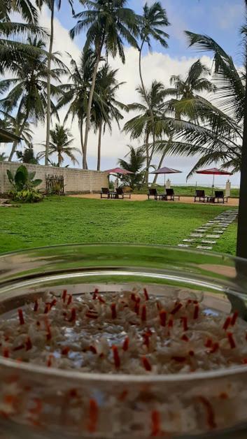 Akurala Beach Boutique Resort Exterior foto